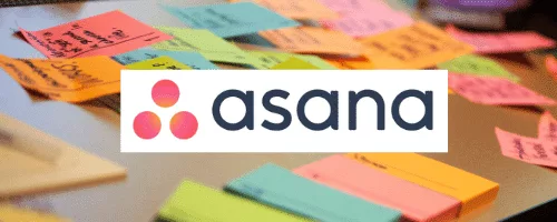 Imagebild Asana als Tool für remotes Arbeiten