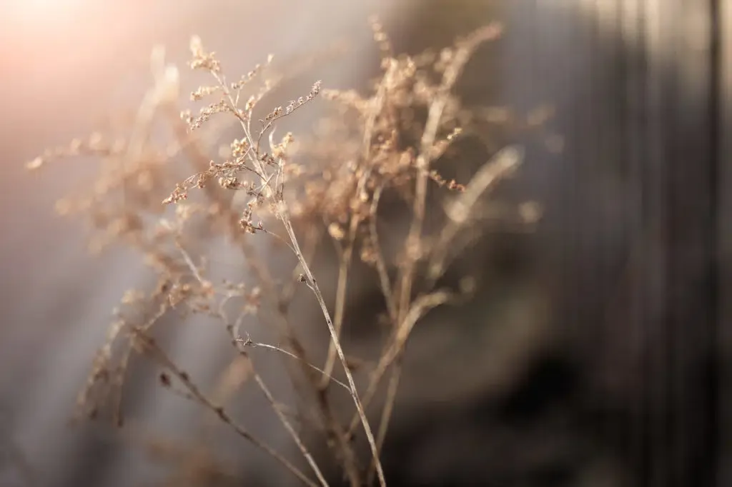 Hintergrund Katja Gersdorf