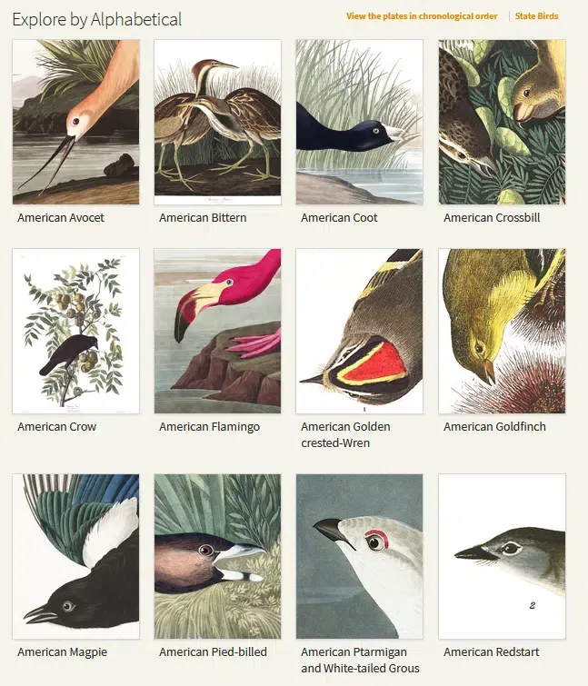 audubon Content Hub